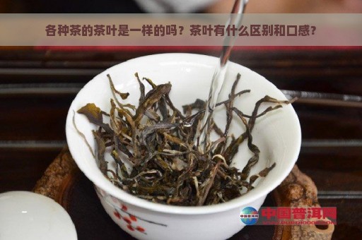 各种茶的茶叶是一样的吗？茶叶有什么区别和口感？