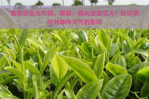 喝茶叶去火气吗，喝茶：解火还是引火？探讨茶叶对体内火气的影响