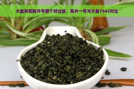 大益茶和陈升号哪个好比较，陈升一号与大益7542对比