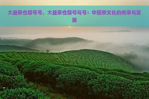 大益茶仓颉号号，大益茶仓颉号与号：中国茶文化的传承与发展