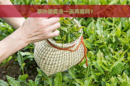 茶叶需要洗一遍再喝吗？