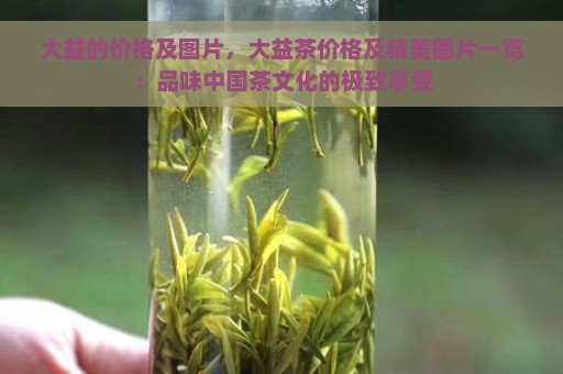 大益的价格及图片，大益茶价格及精美图片一览：品味中国茶文化的极致享受