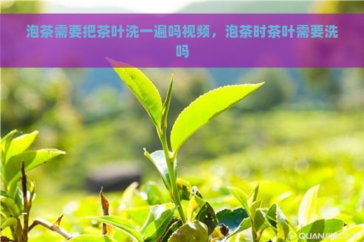 泡茶需要把茶叶洗一遍吗视频，泡茶时茶叶需要洗吗