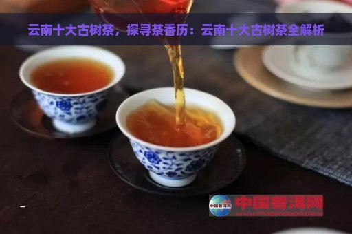 云南十大古树茶，探寻茶香历：云南十大古树茶全解析