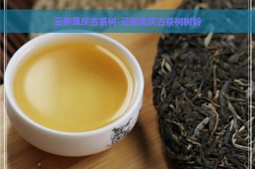 云南凤庆古茶树-云南凤庆古茶树树龄