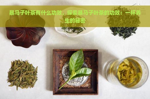 暴马子叶茶有什么功效，探索暴马子叶茶的功效：一杯养生的秘密