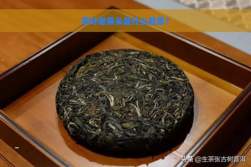 茶叶老茶头是什么意思？