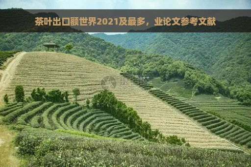 茶叶出口额世界2021及最多，业论文参考文献