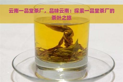 云南一品堂茶厂，品味云南：探索一品堂茶厂的茶叶之旅