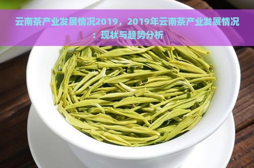 云南茶产业发展情况2019，2019年云南茶产业发展情况：现状与趋势分析