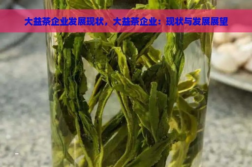 大益茶企业发展现状，大益茶企业：现状与发展展望