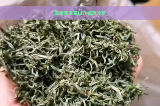 临沧茶区茶山介绍及分布