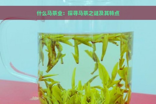 什么马茶业：探寻马茶之谜及其特点