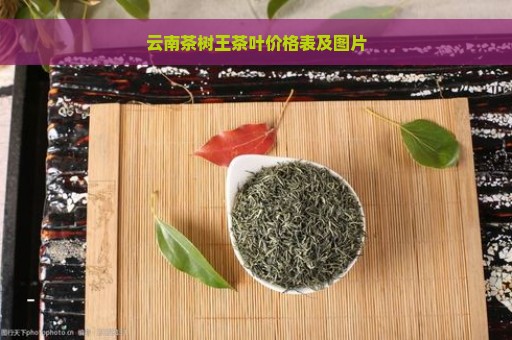 云南茶树王茶叶价格表及图片