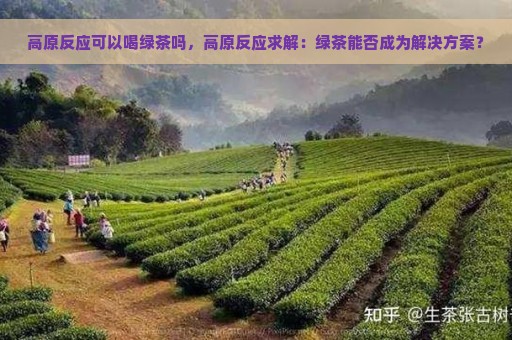 高原反应可以喝绿茶吗，高原反应求解：绿茶能否成为解决方案？