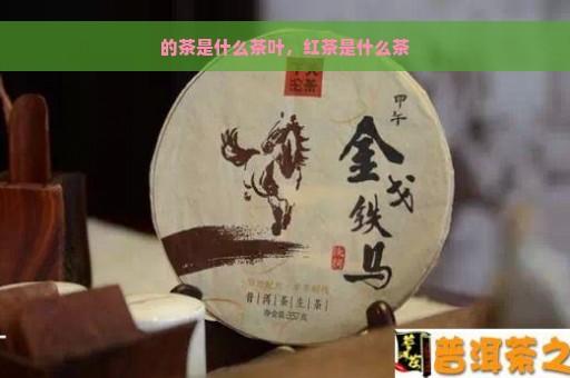 的茶是什么茶叶，红茶是什么茶