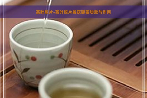 茶叶照片-茶叶照片羌茯砖茶功效与作用