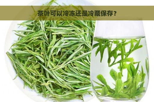 茶叶可以冷冻还是冷藏保存？