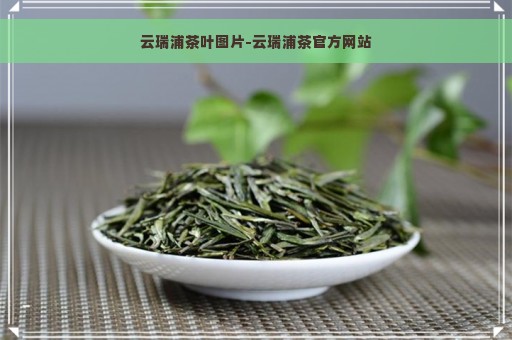 云瑞浦茶叶图片-云瑞浦茶官方网站