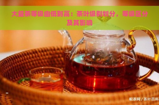 大益茶等级由低到高：茶叶级别划分，等级区分及其影响