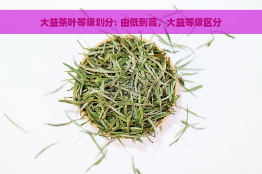 大益茶叶等级划分: 由低到高，大益等级区分