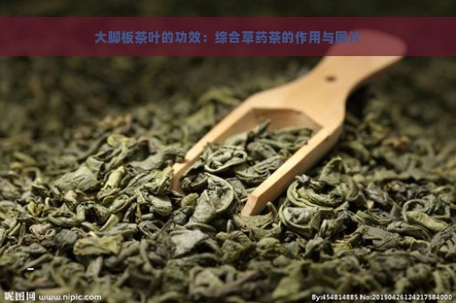 大脚板茶叶的功效：综合草药茶的作用与图片