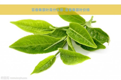 百香集茶叶是什么茶-百香集茶叶价格