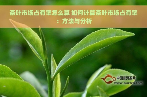 茶叶市场占有率怎么算 如何计算茶叶市场占有率：方法与分析