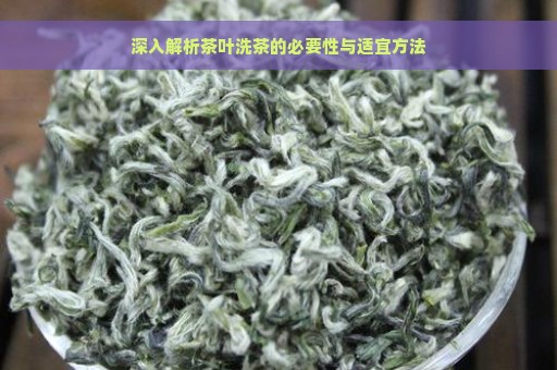 深入解析茶叶洗茶的必要性与适宜方法