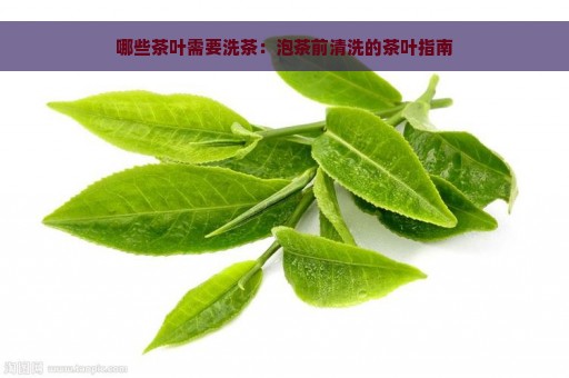 哪些茶叶需要洗茶：泡茶前清洗的茶叶指南