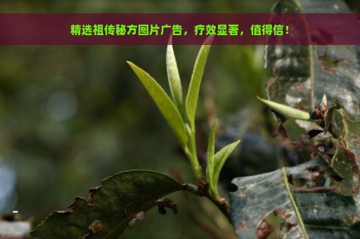 精选祖传秘方图片广告，疗效显著，值得信！