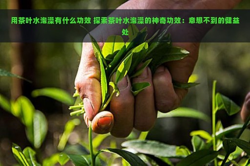 用茶叶水泡澡有什么功效 探索茶叶水泡澡的神奇功效：意想不到的健益处