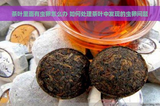 茶叶里面有虫卵怎么办 如何处理茶叶中发现的虫卵问题