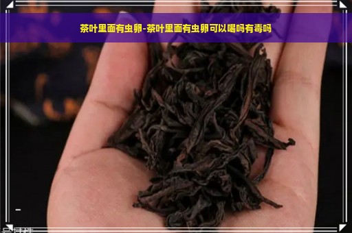 茶叶里面有虫卵-茶叶里面有虫卵可以喝吗有毒吗