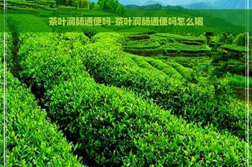 茶叶润肠通便吗-茶叶润肠通便吗怎么喝