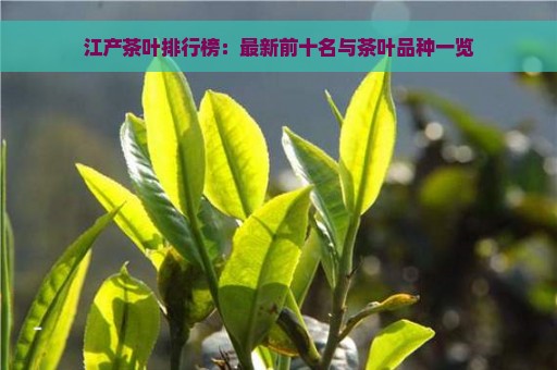 江产茶叶排行榜：最新前十名与茶叶品种一览