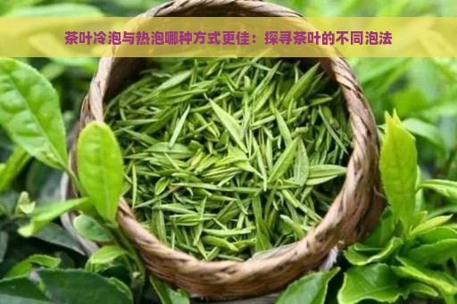 茶叶冷泡与热泡哪种方式更佳：探寻茶叶的不同泡法