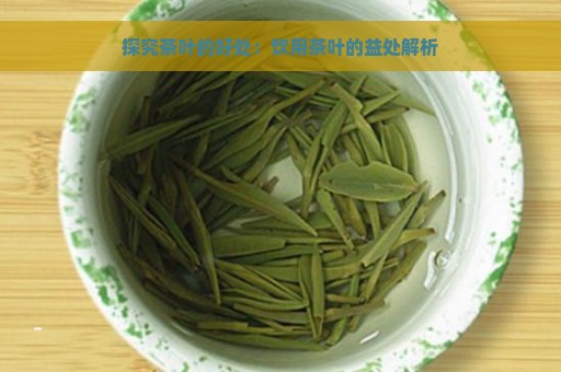 探究茶叶的好处：饮用茶叶的益处解析