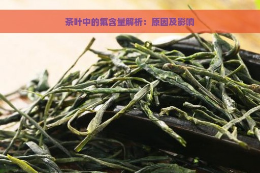 茶叶中的氟含量解析：原因及影响