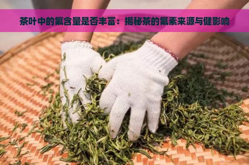 茶叶中的氟含量是否丰富：揭秘茶的氟素来源与健影响