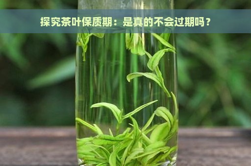 探究茶叶保质期：是真的不会过期吗？