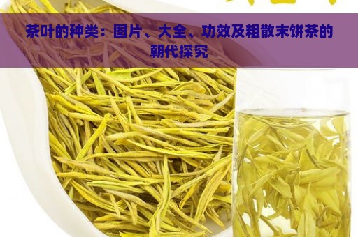 茶叶的种类：图片、大全、功效及粗散末饼茶的朝代探究