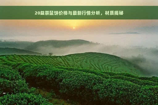 20益茶鼠饼价格与最新行情分析，材质揭秘