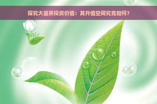 探究大益茶投资价值：其升值空间究竟如何？