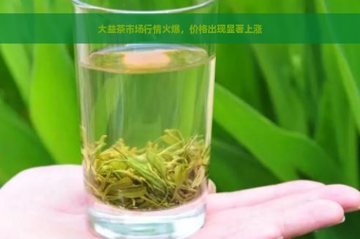 大益茶市场行情火爆，价格出现显著上涨