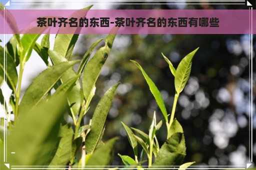 茶叶齐名的东西-茶叶齐名的东西有哪些