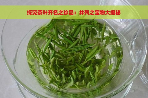 探究茶叶齐名之珍品：并列之宝物大揭秘