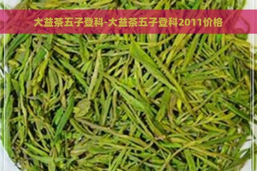 大益茶五子登科-大益茶五子登科2011价格