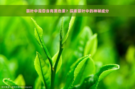 茶叶中是否含有黑色素？探索茶叶中的神秘成分