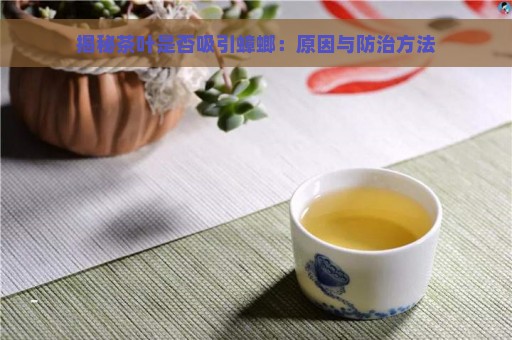 揭秘茶叶是否吸引蟑螂：原因与防治方法